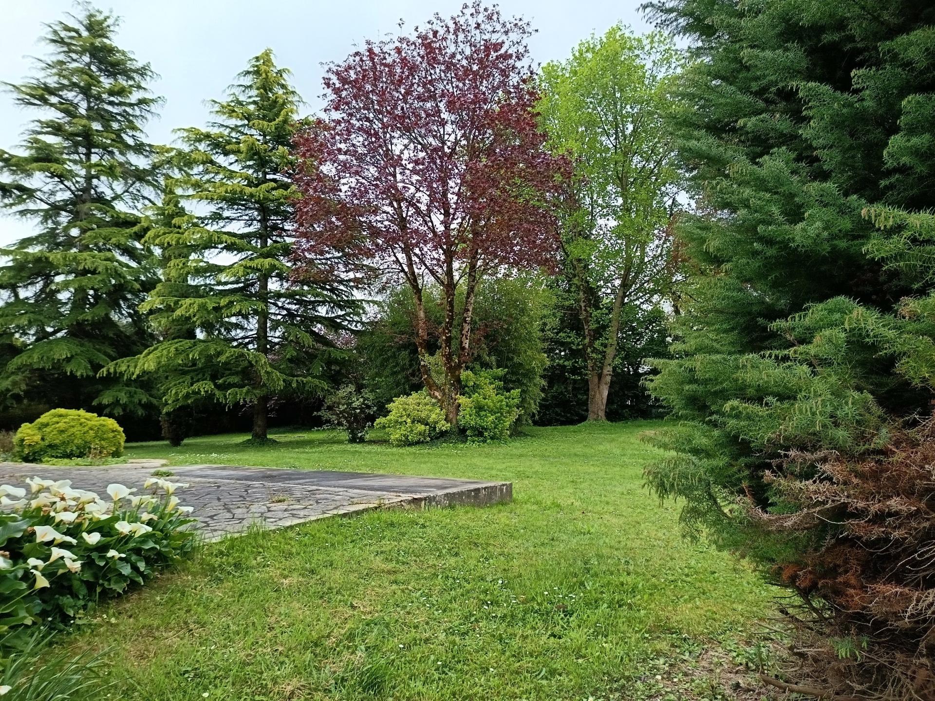 Photo 2 de l'annonce.