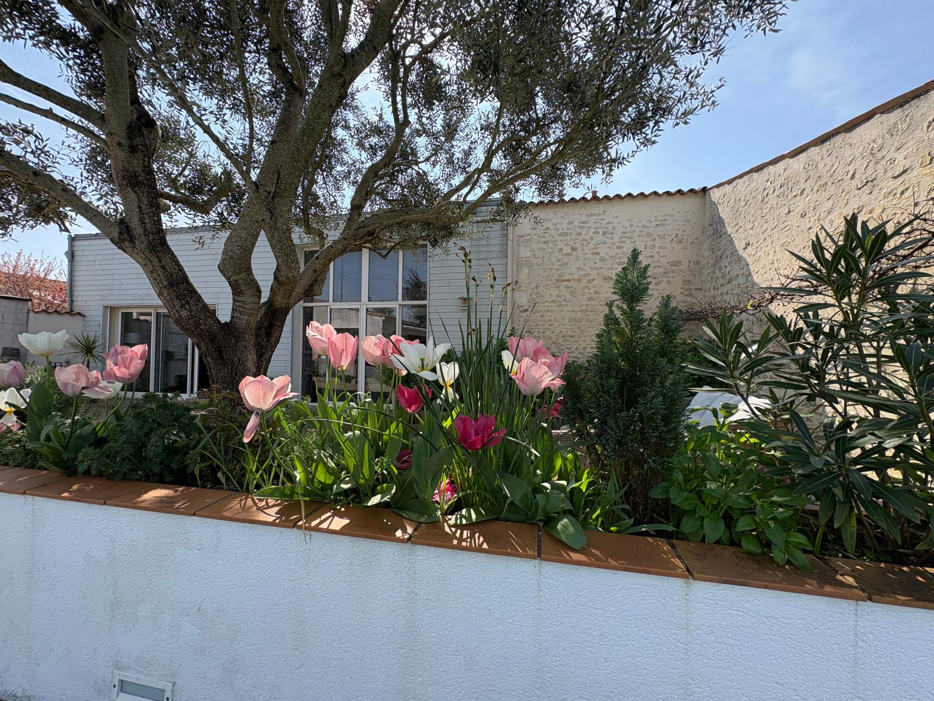 Photo 12 of the listing.