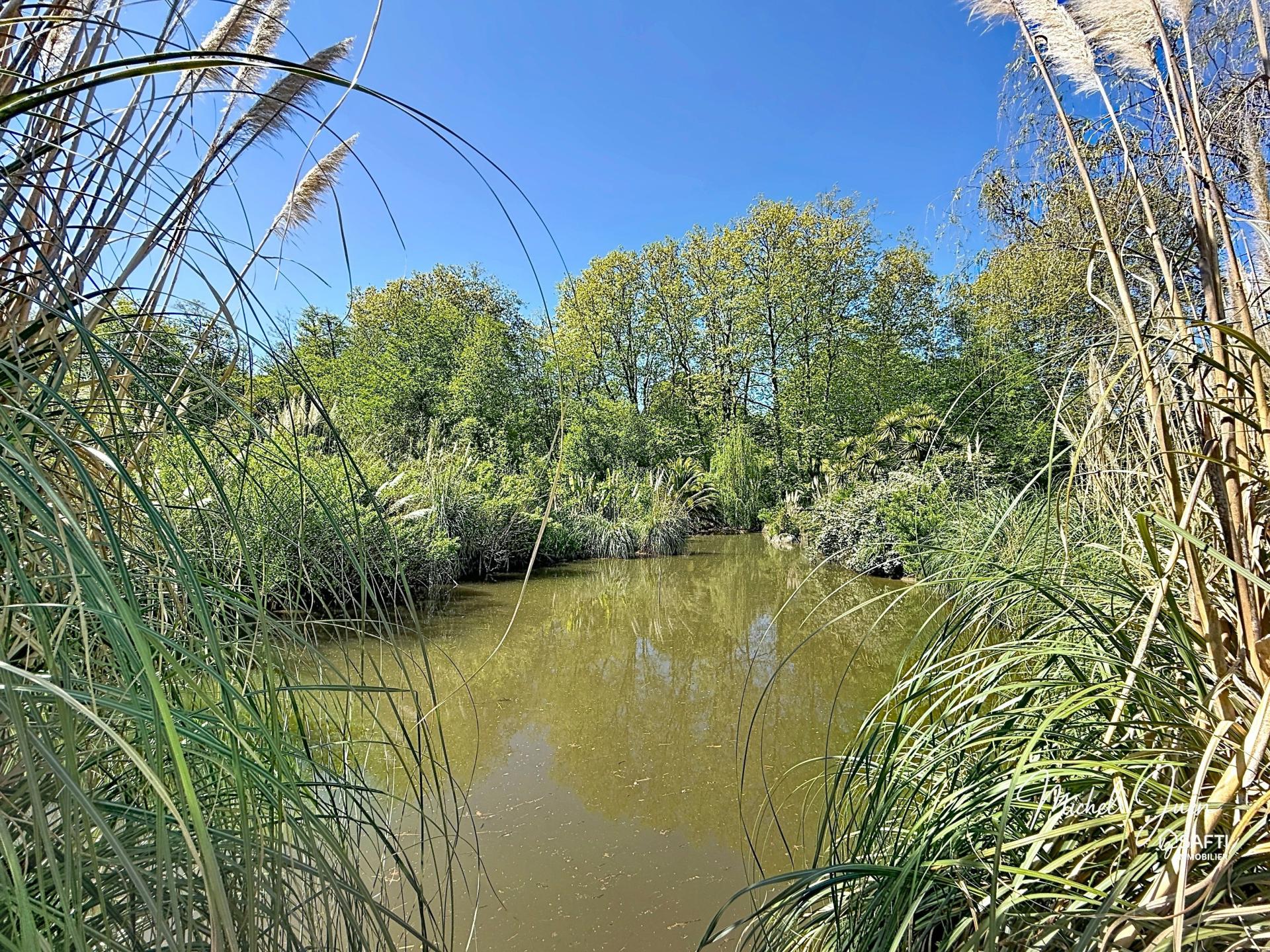 Photo 11 de l'annonce.