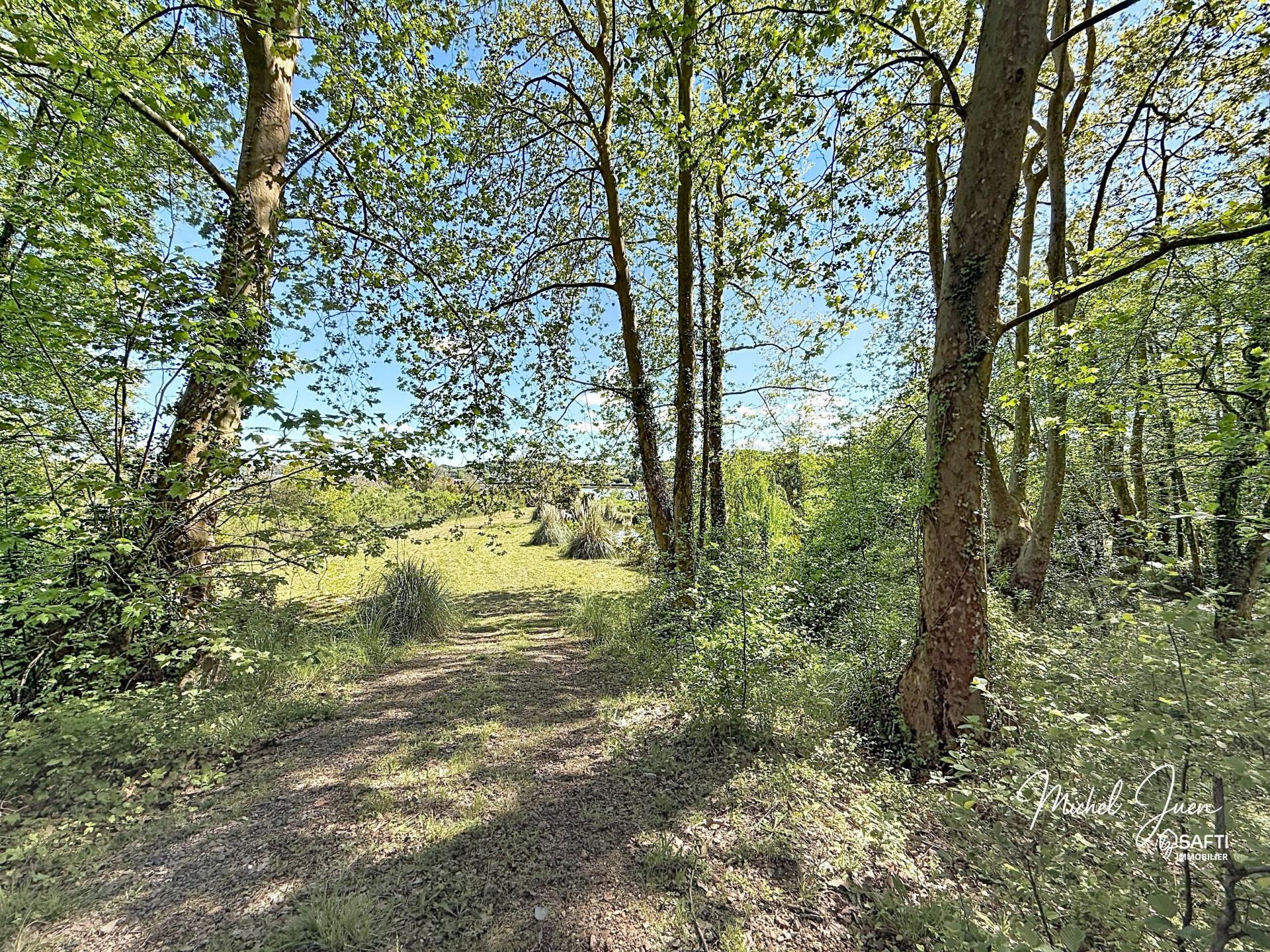 Photo 10 de l'annonce.