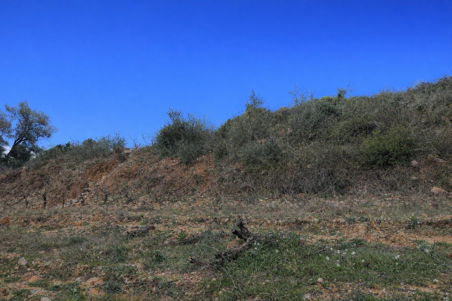 Photo-terrain