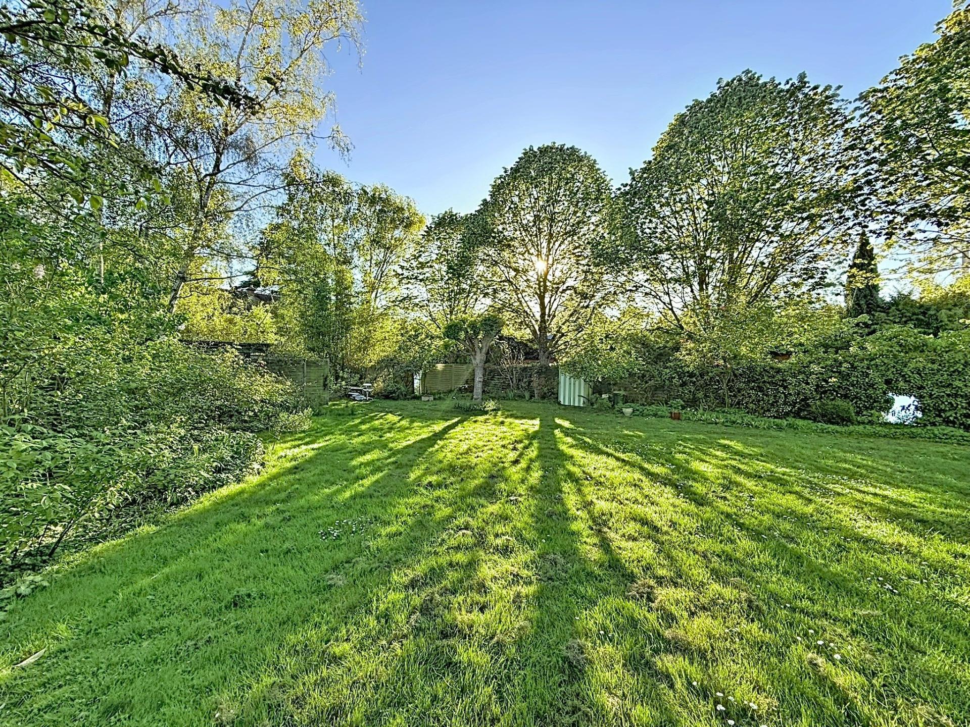 Photo 2 de l'annonce.