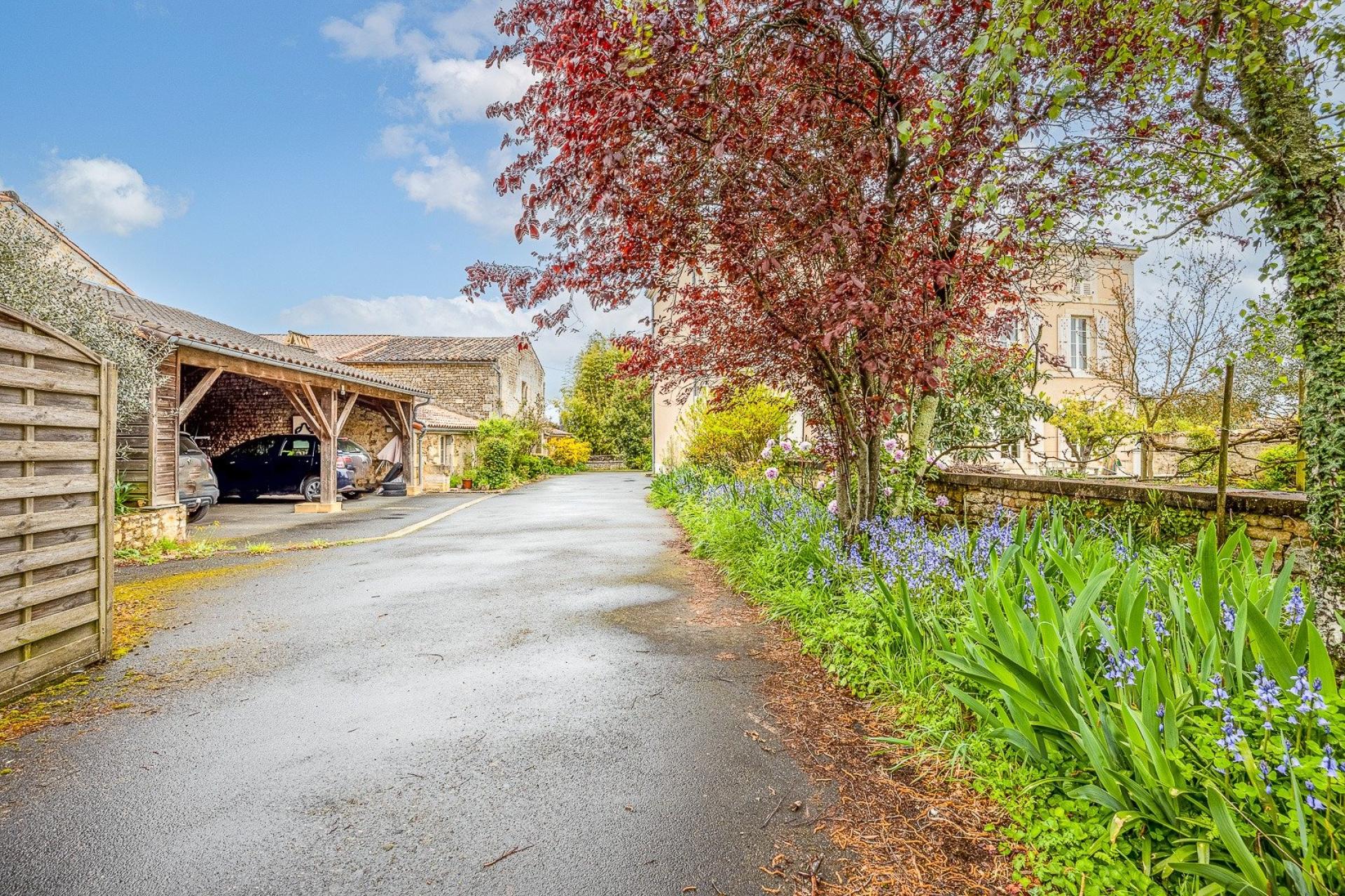 Photo 13 of the listing.