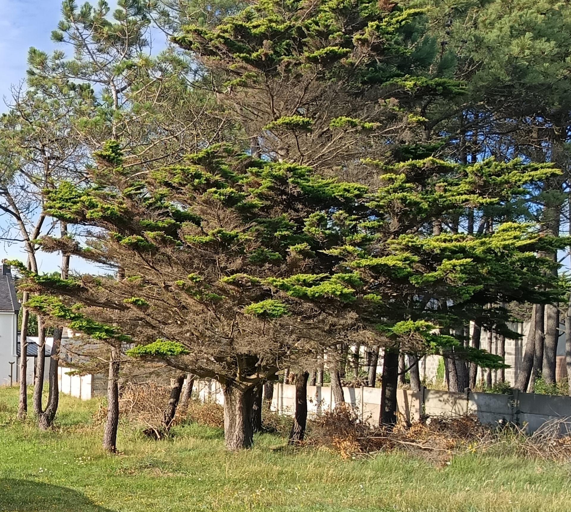 Photo 6 of the listing.