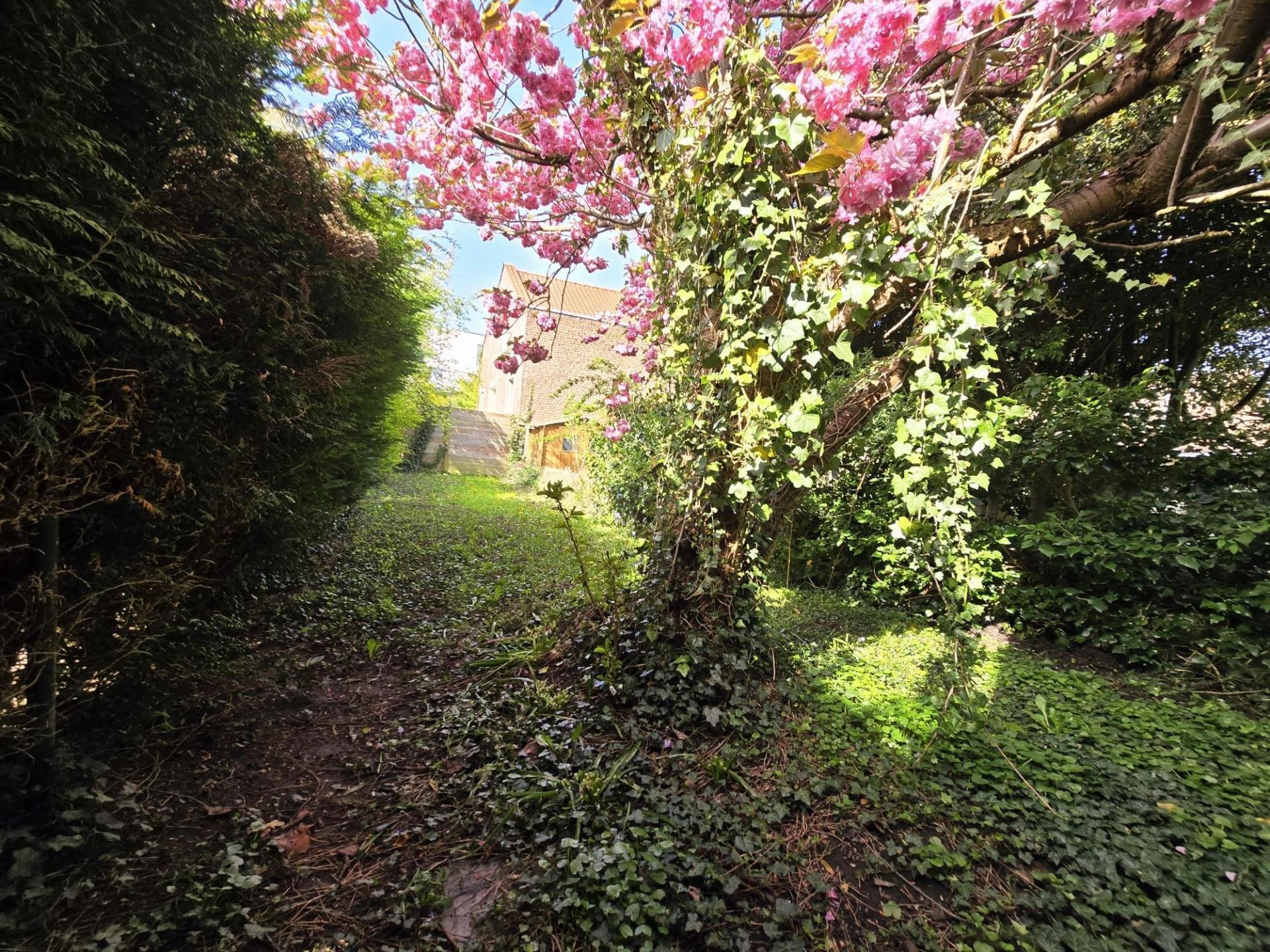 Photo-maison