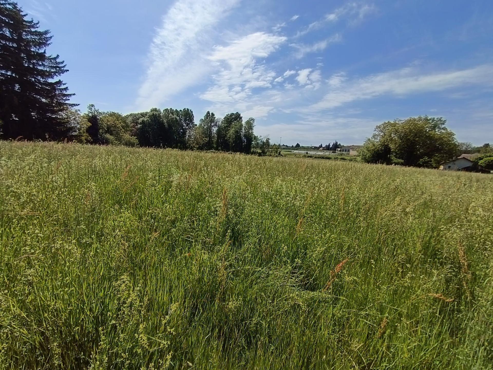 Photo-terrain