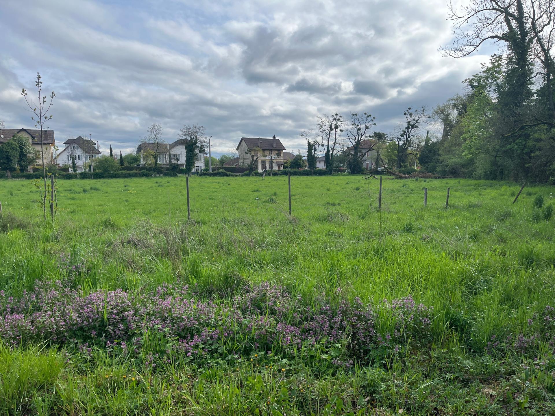 Photo 4 de l'annonce.