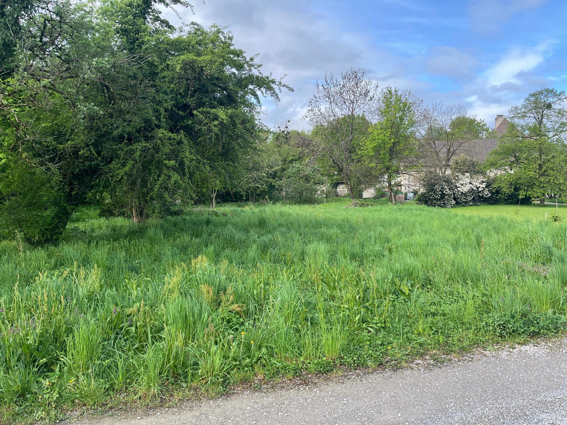 Photo 3 de l'annonce.