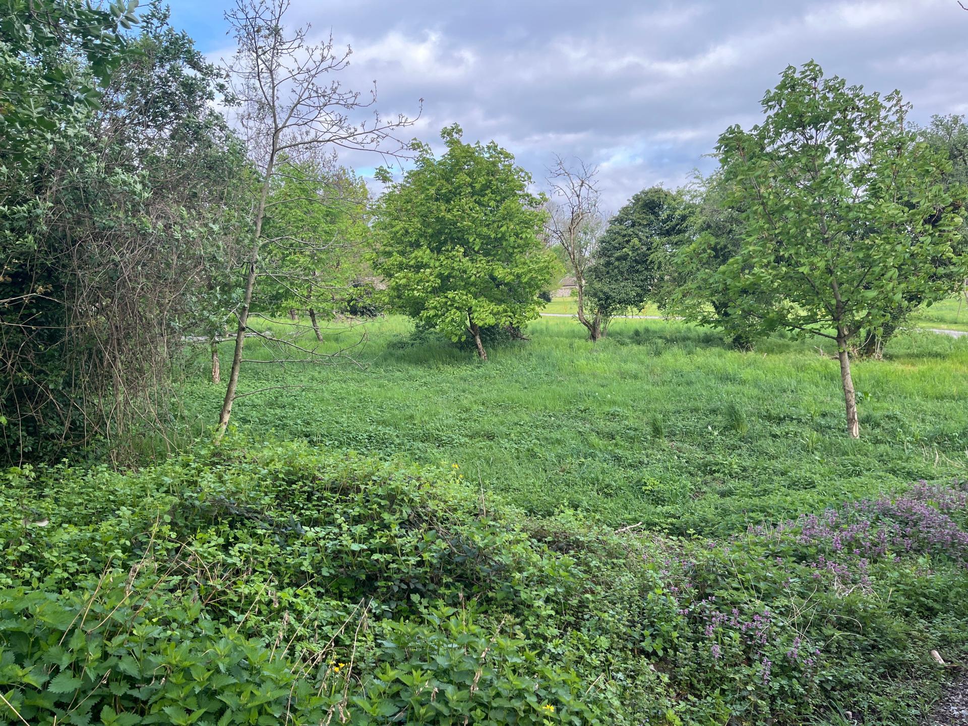 Photo 6 de l'annonce.