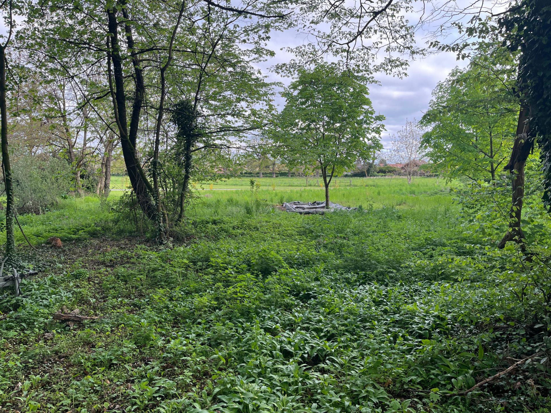 Photo 7 de l'annonce.