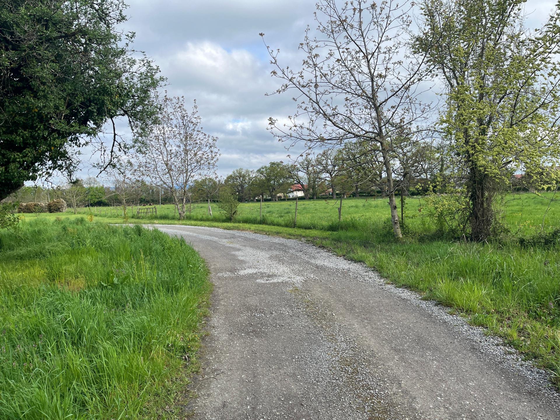 Photo 5 de l'annonce.