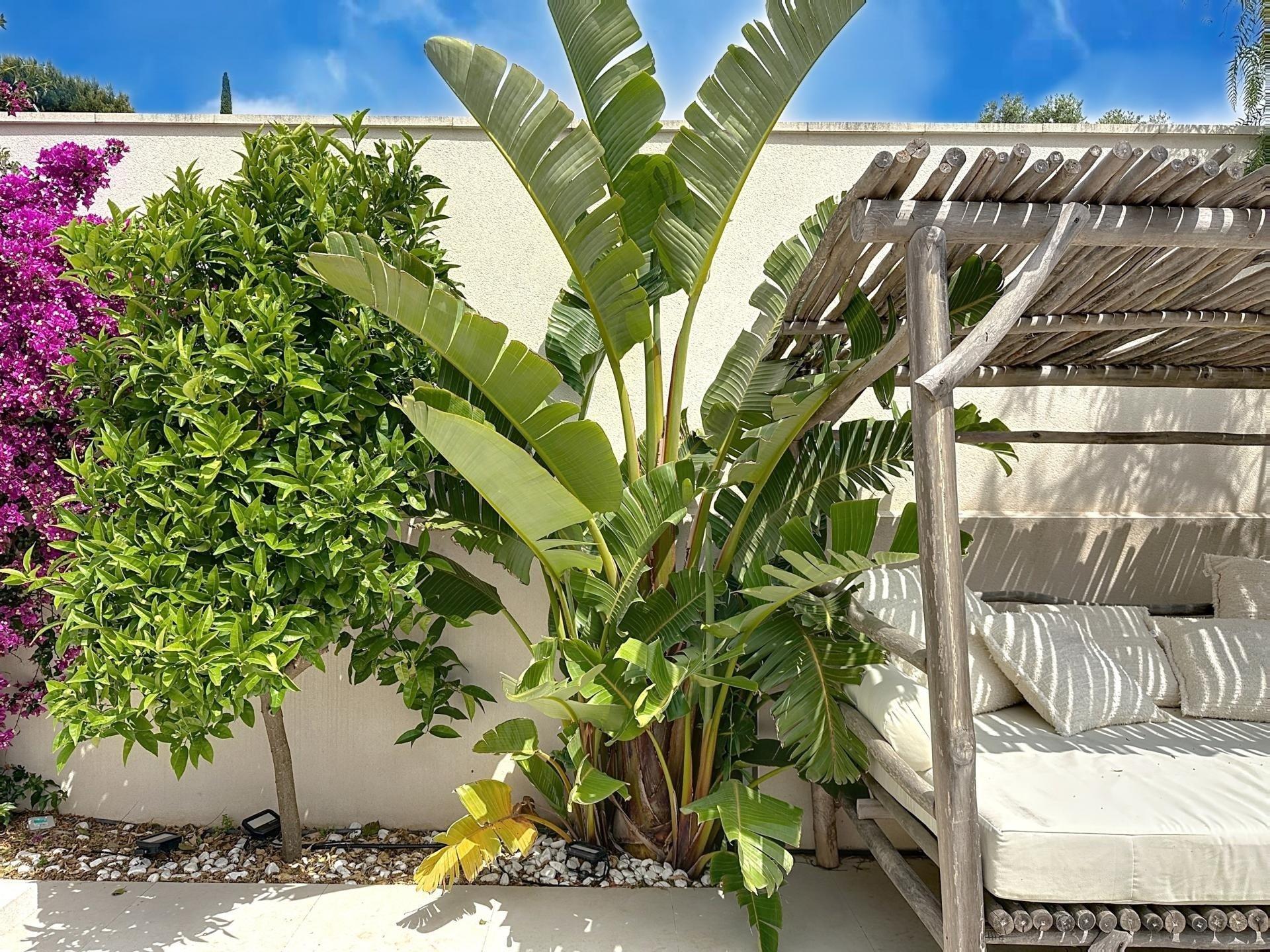 Photo 15 de l'annonce.