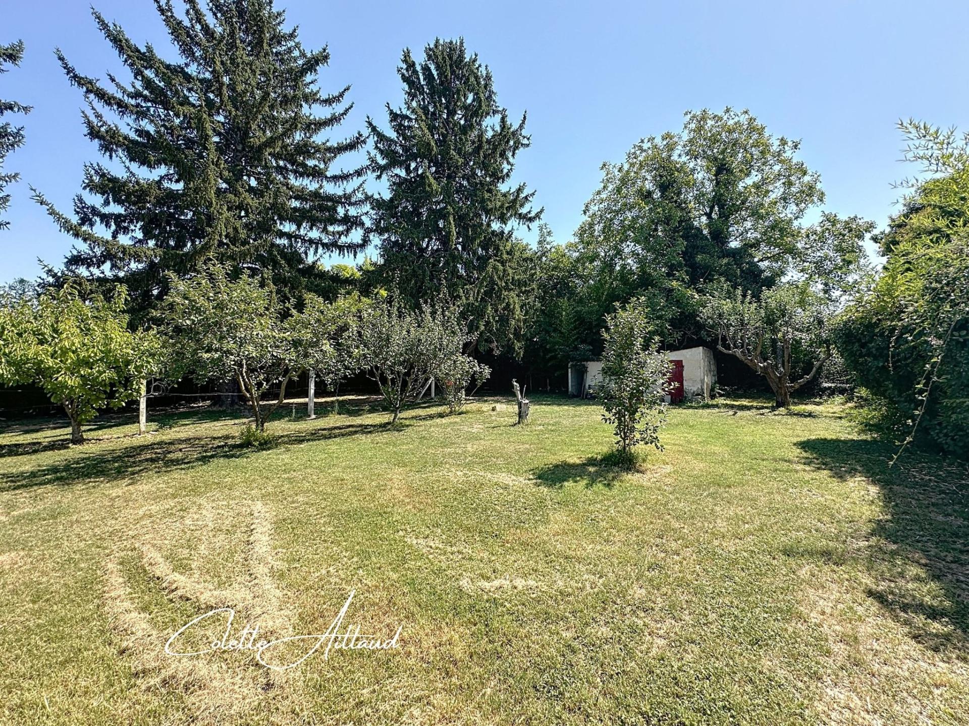 Photo 5 of the listing.