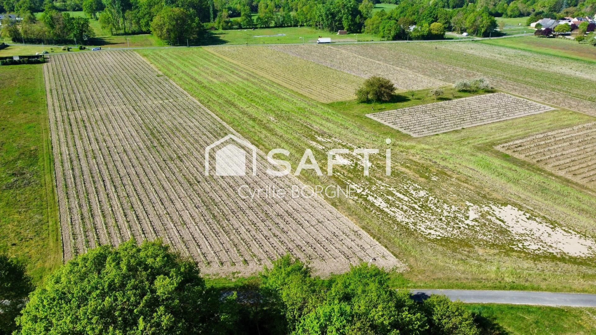 Photo-terrain