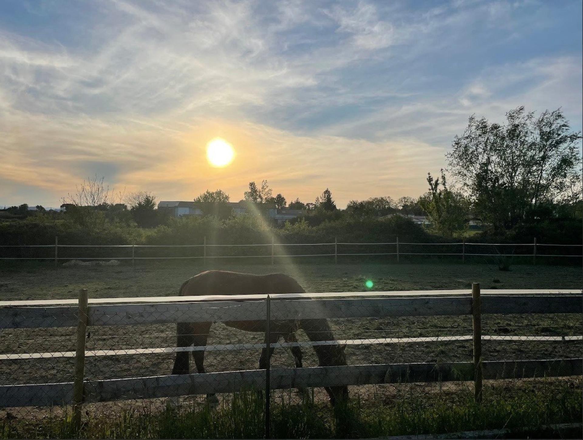 Photo 4 de l'annonce.