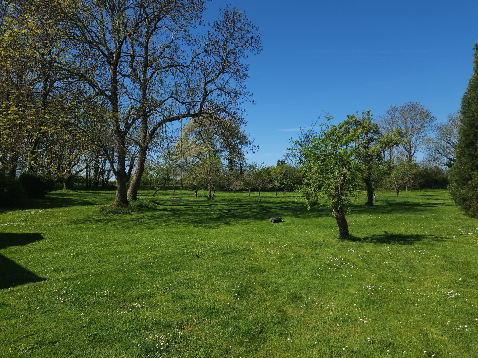 Photo 10 de l'annonce.