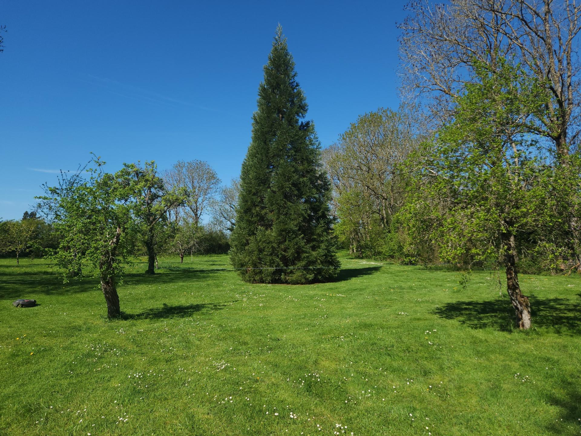 Photo 11 de l'annonce.