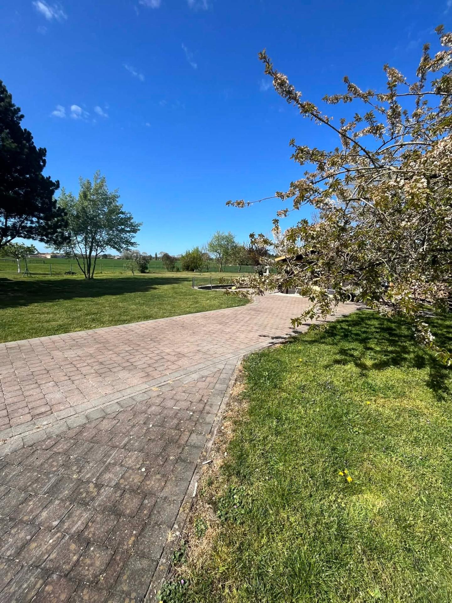 Photo 13 de l'annonce.