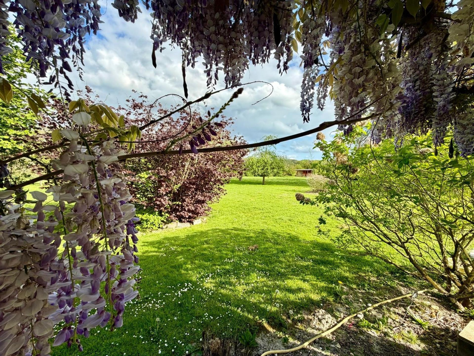 Photo 6 de l'annonce.