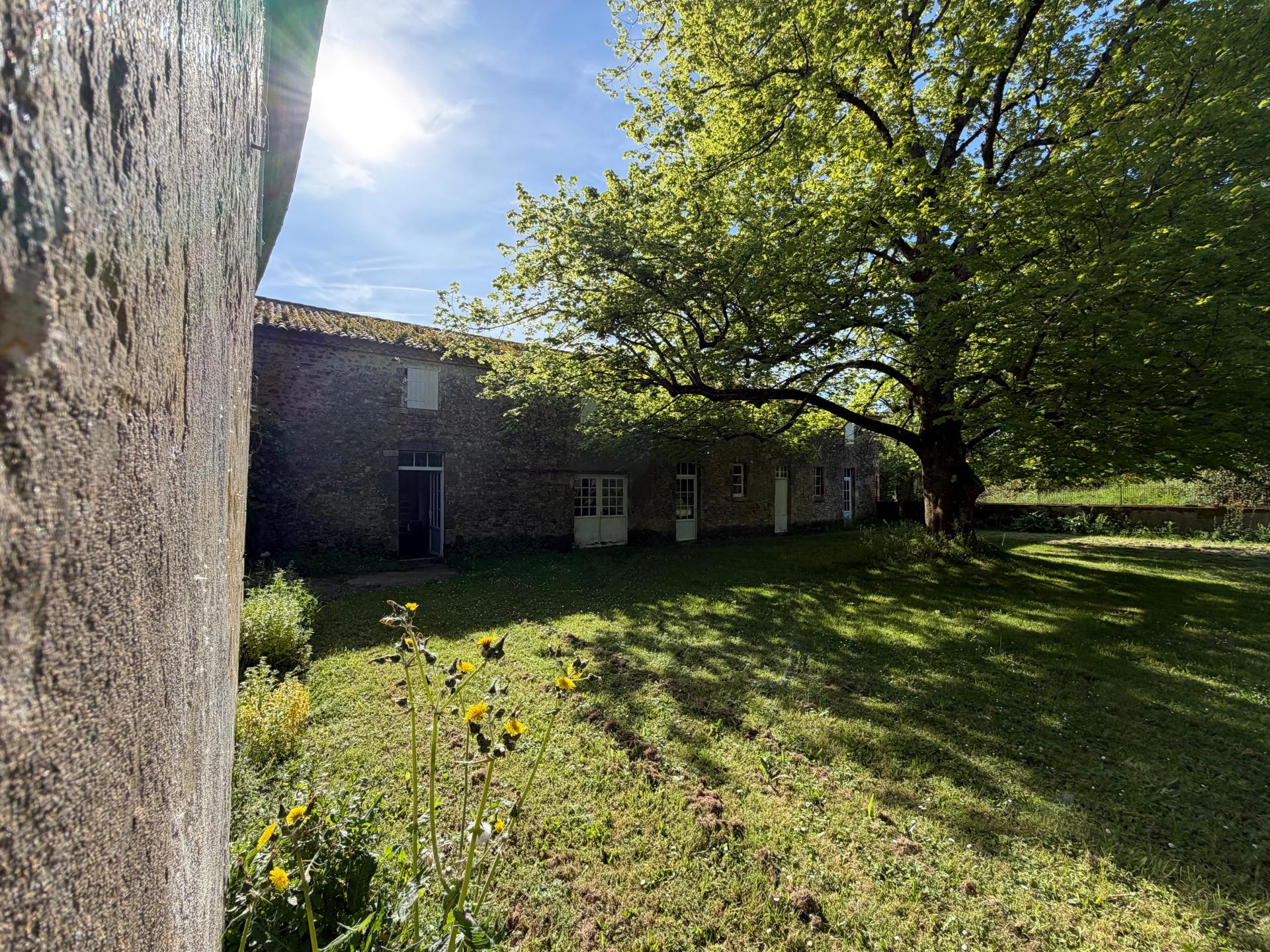 Photo 3 de l'annonce.