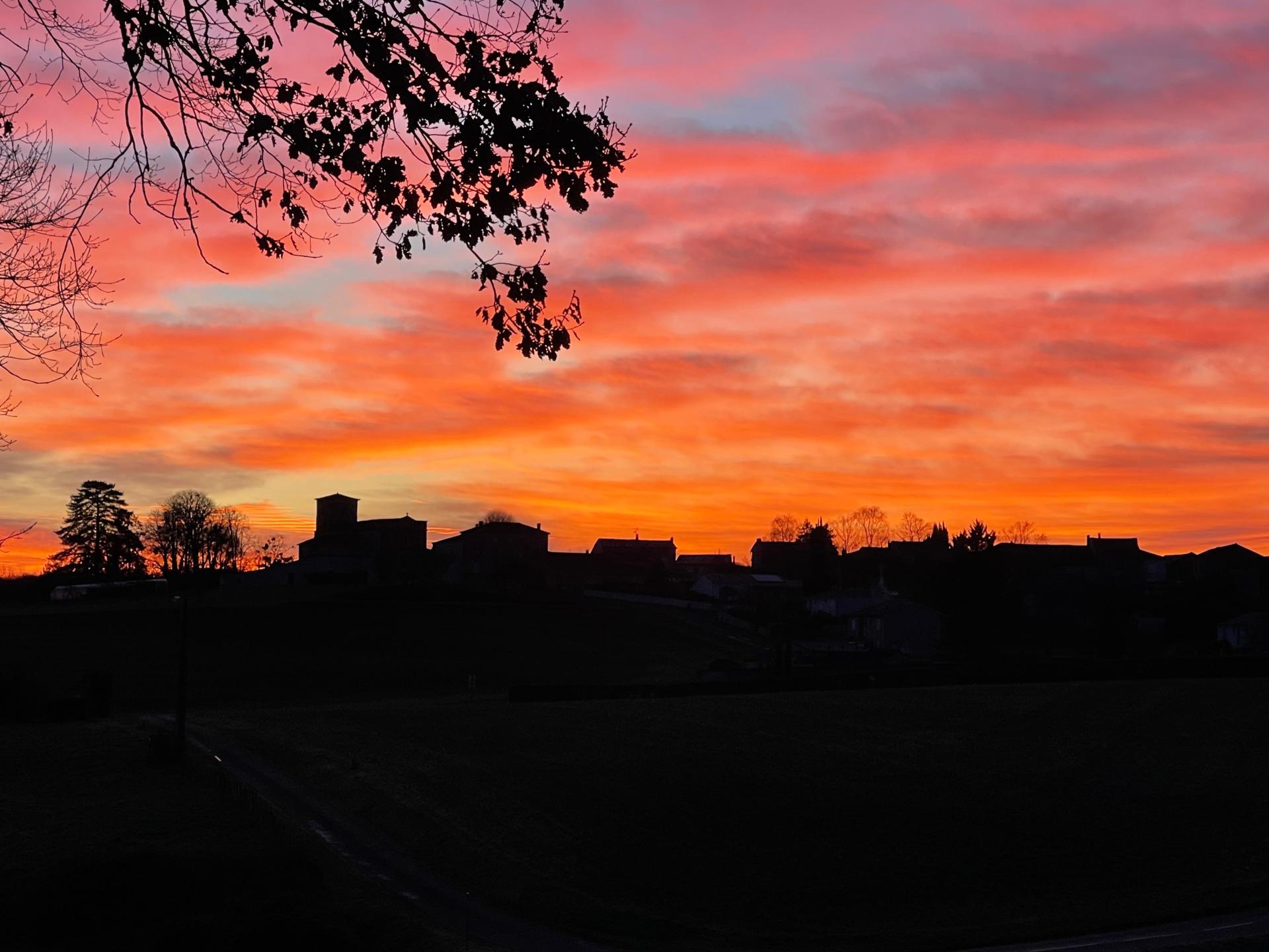 Photo 4 de l'annonce.