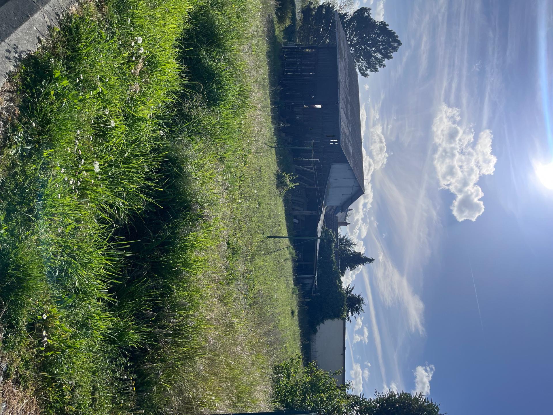 Photo-terrain
