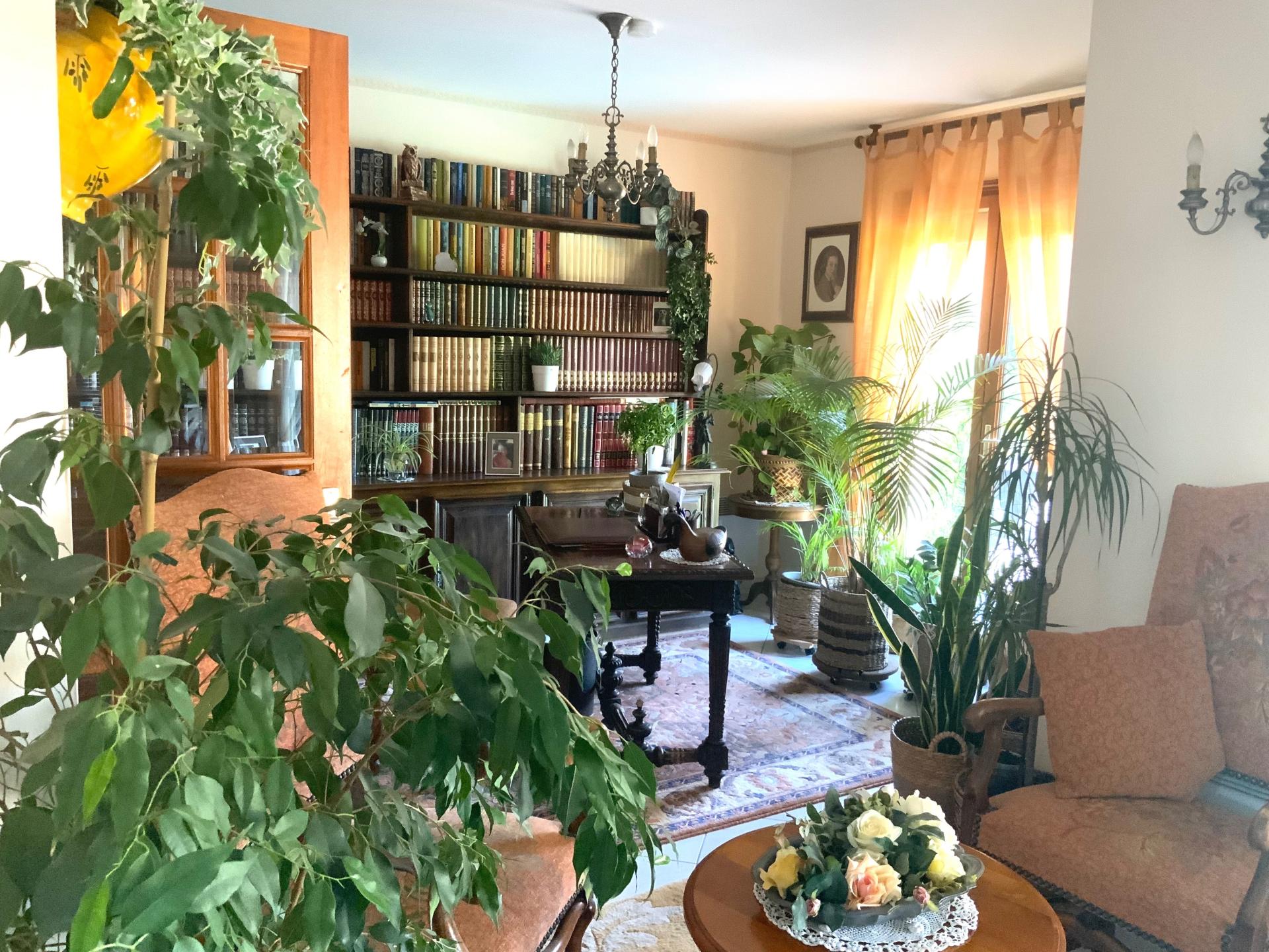 Photo 7 de l'annonce.