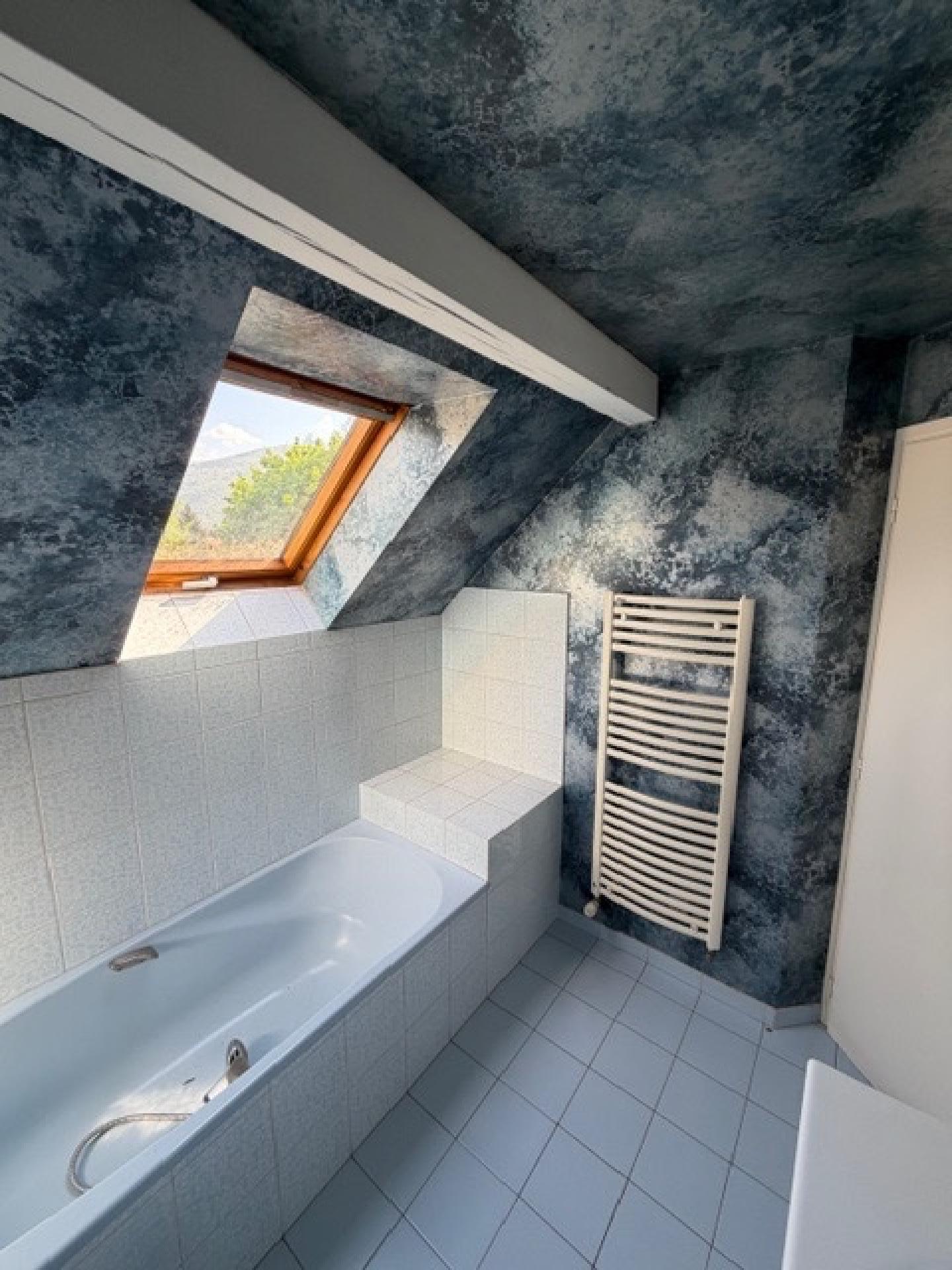 Photo 5 de l'annonce.