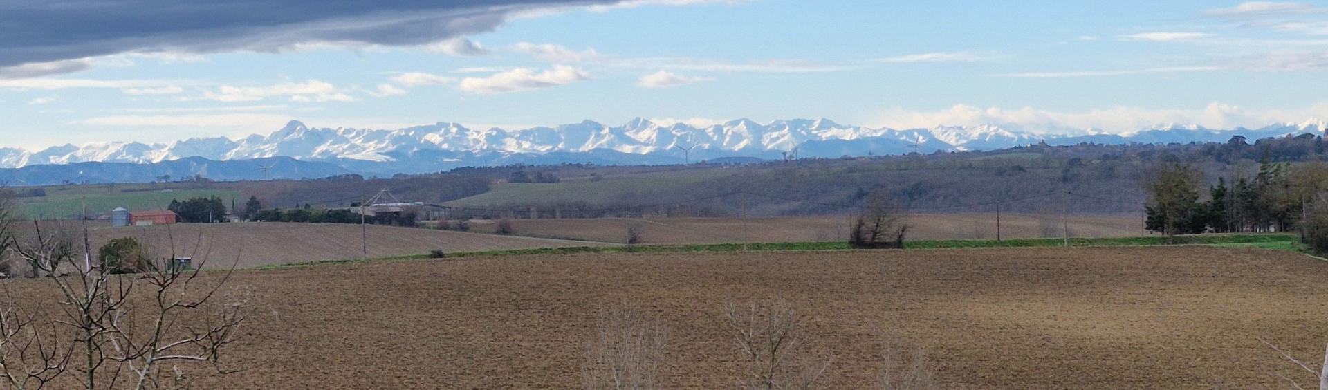 Photo 3 de l'annonce.