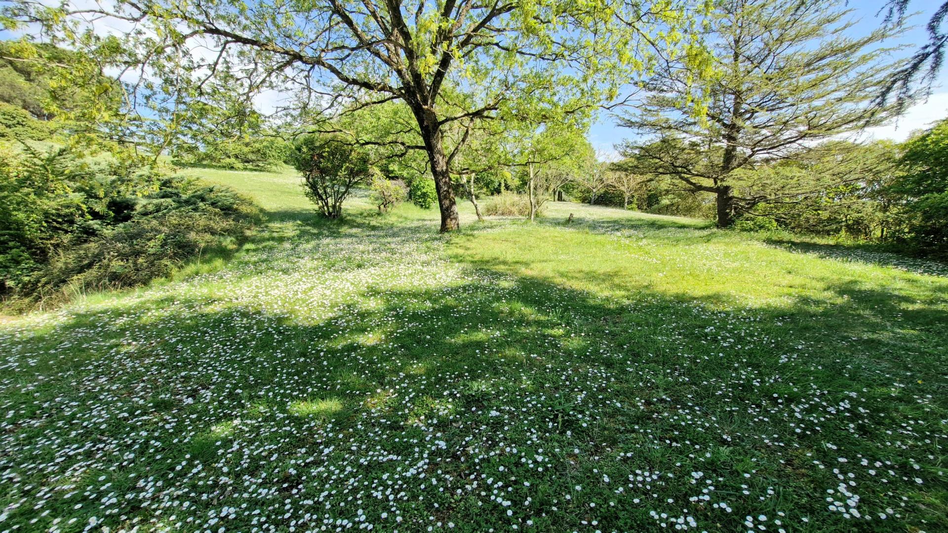 Photo 17 de l'annonce.