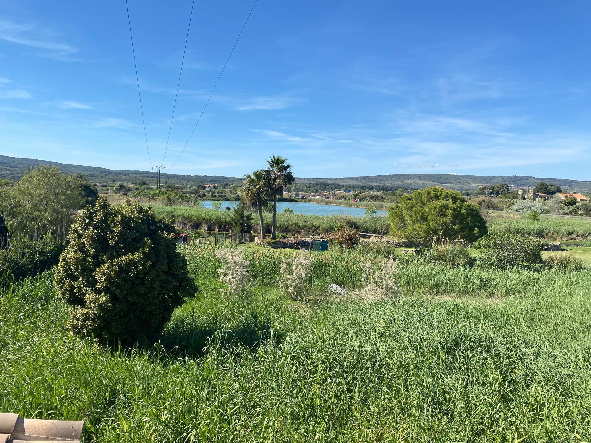 Photo 3 of the listing.