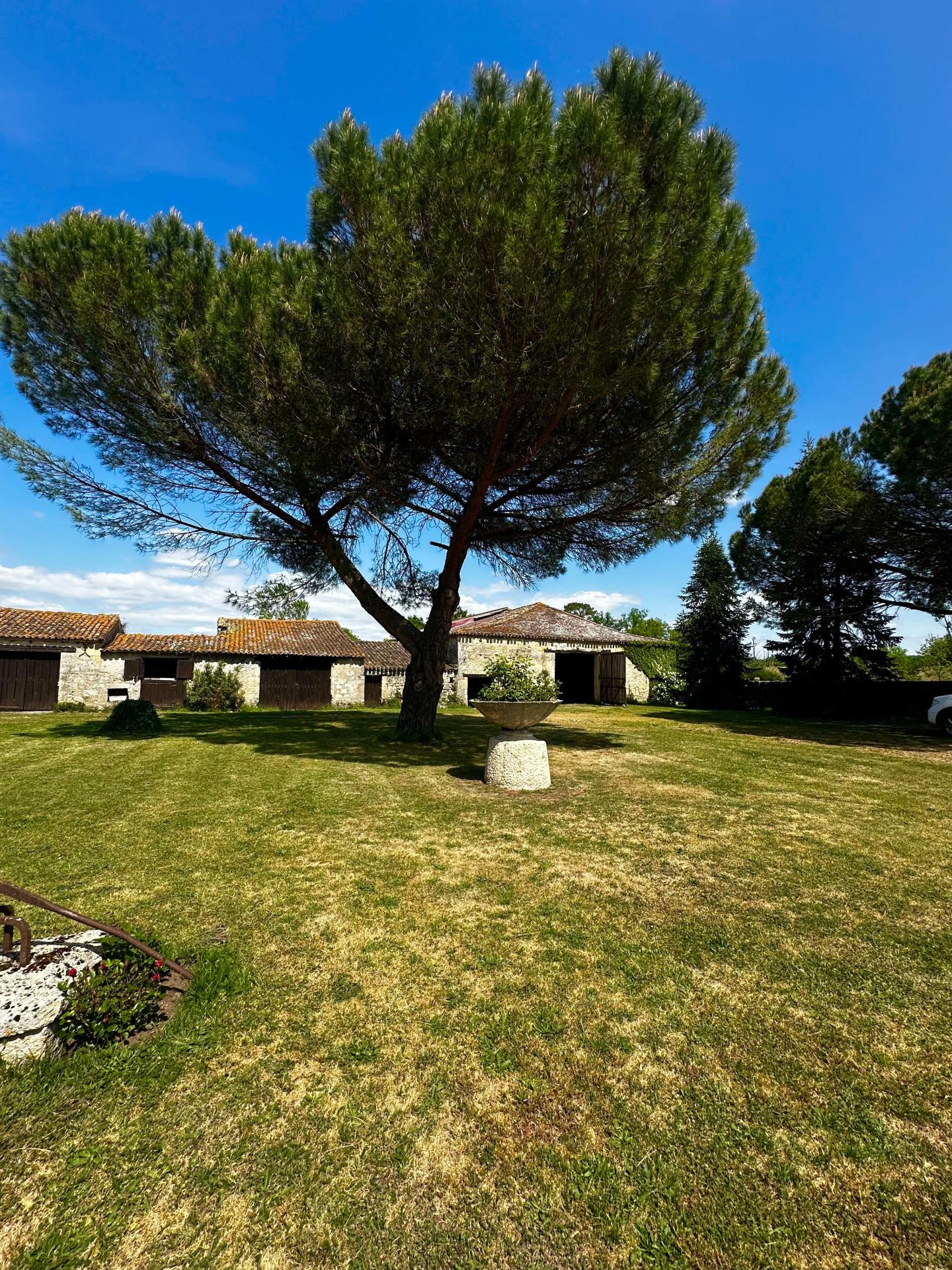 Photo 21 de l'annonce.