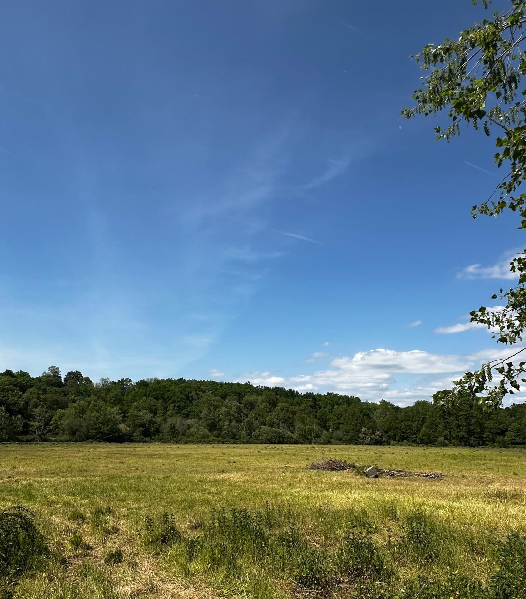 Photo 22 de l'annonce.