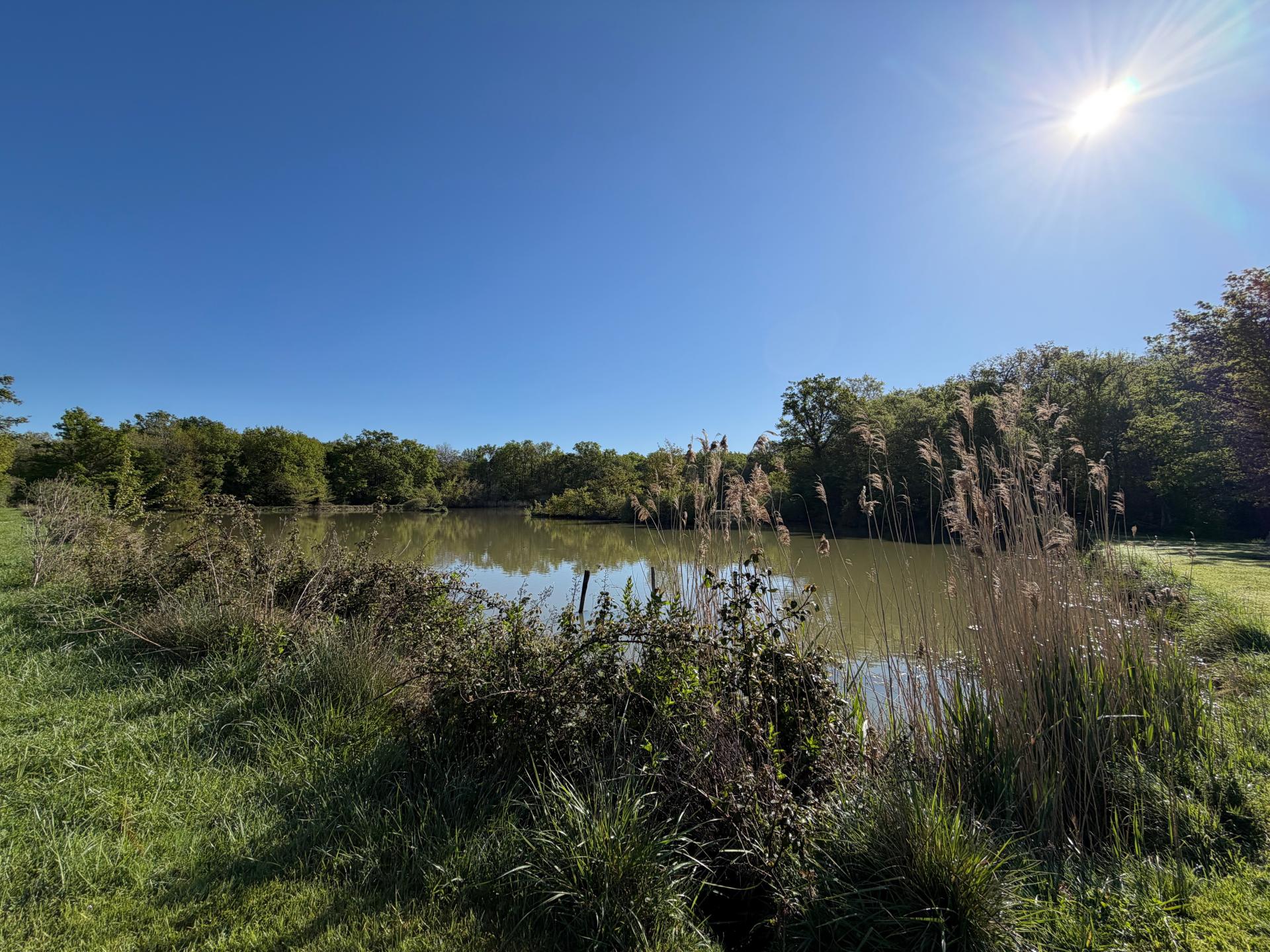 Photo 18 de l'annonce.