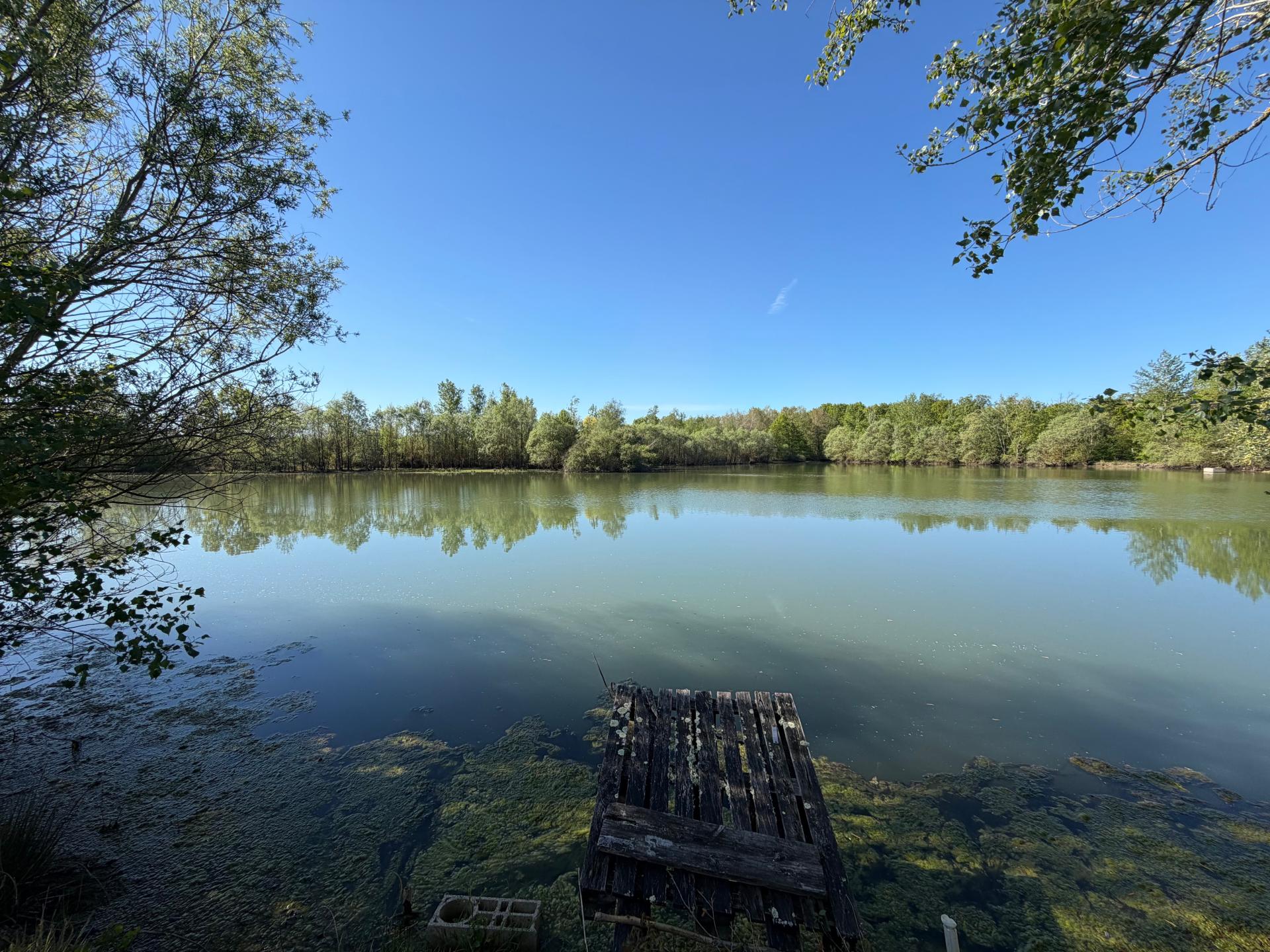 Photo 12 de l'annonce.