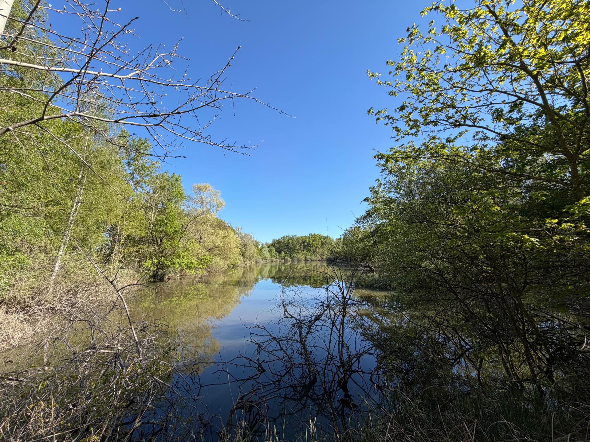 Photo 19 de l'annonce.