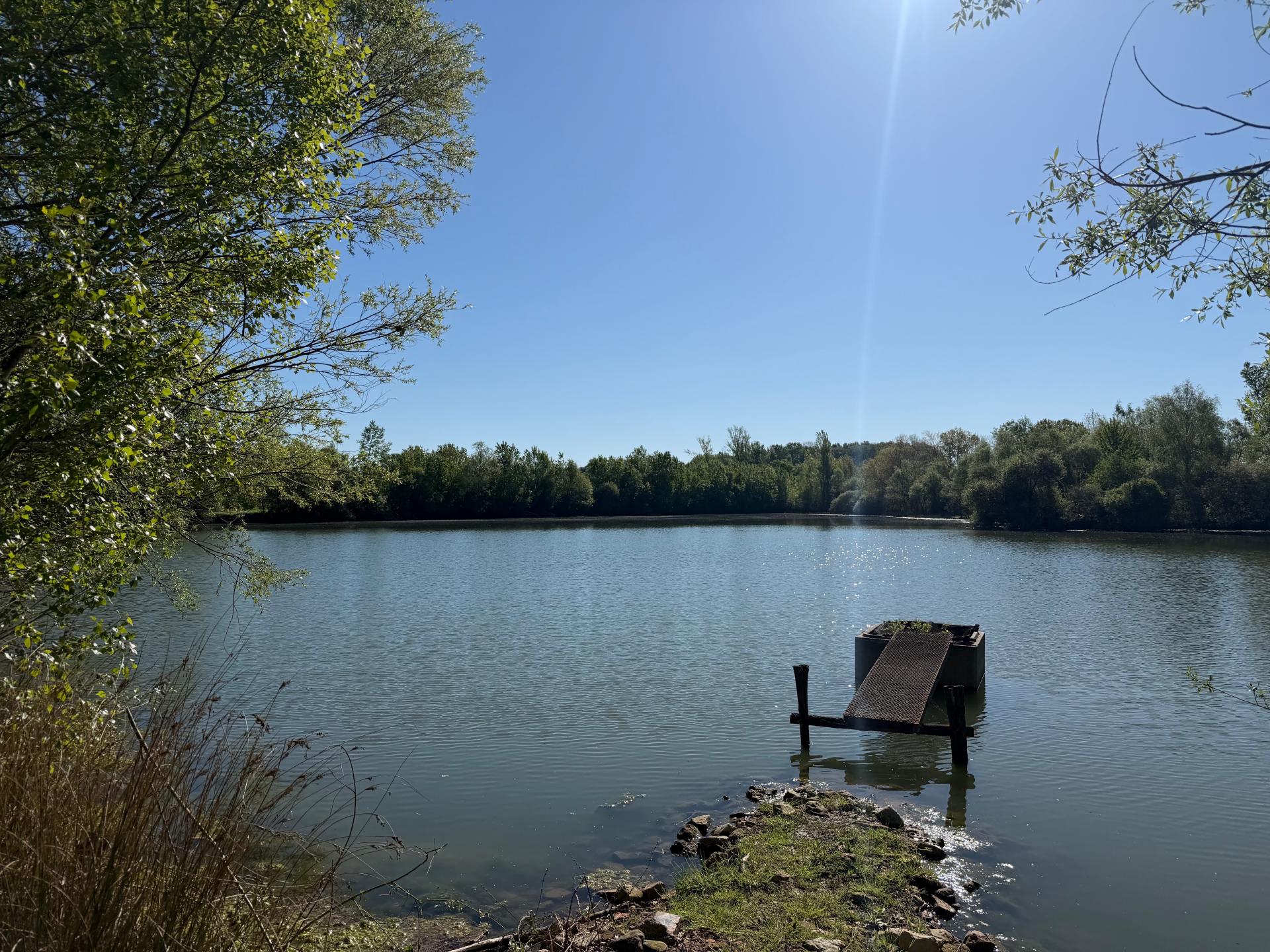 Photo 14 de l'annonce.