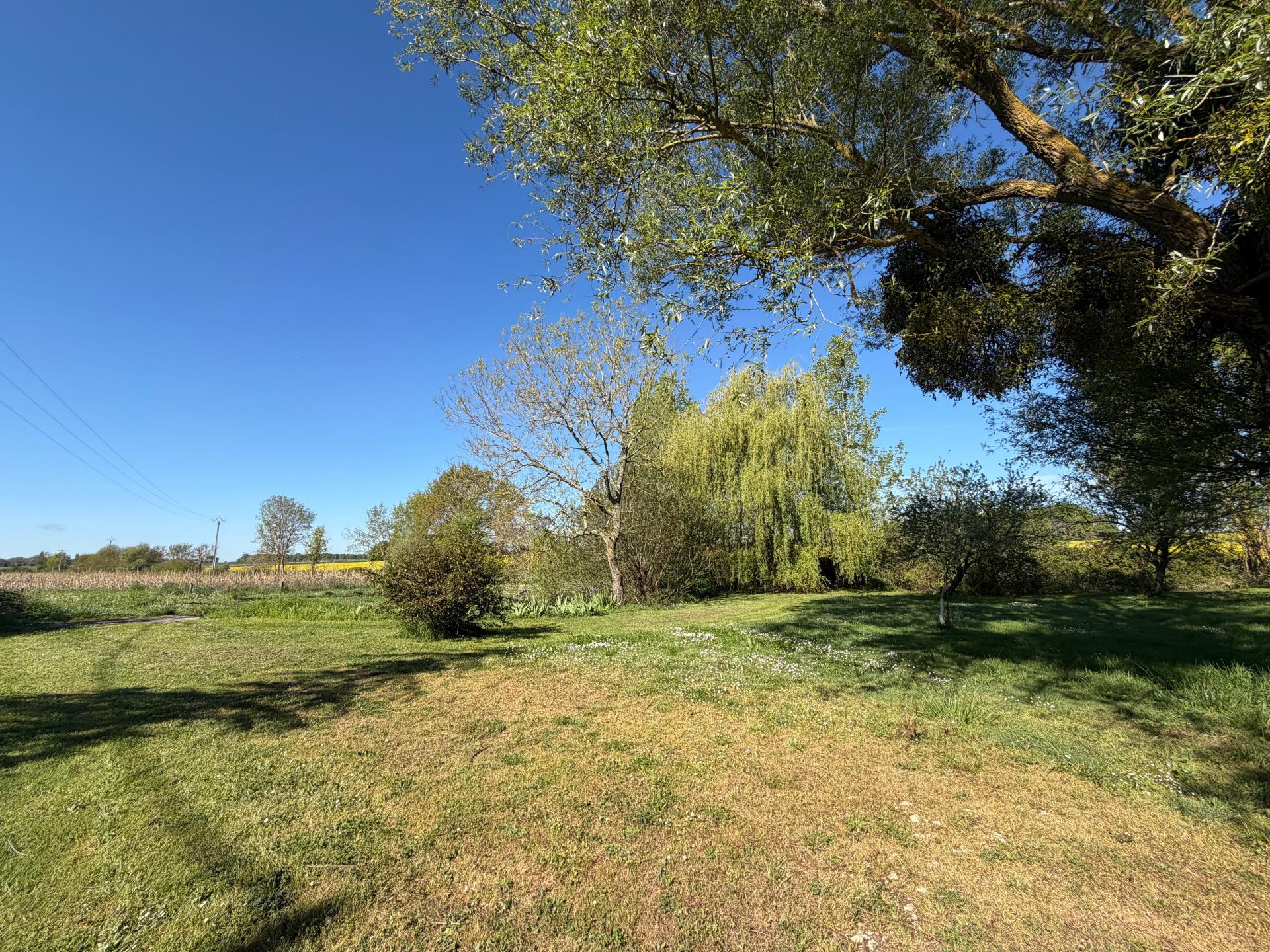 Photo 10 de l'annonce.