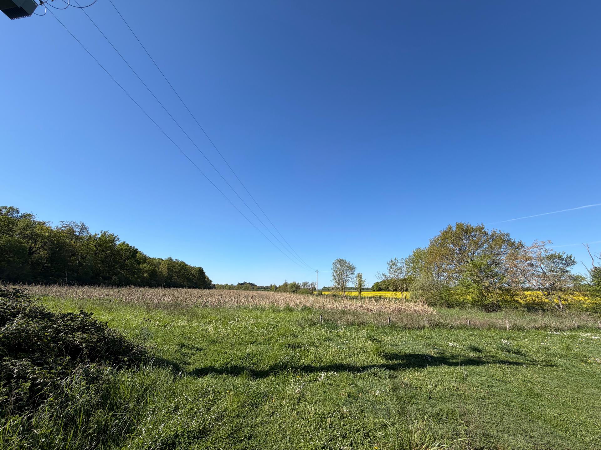 Photo 8 de l'annonce.