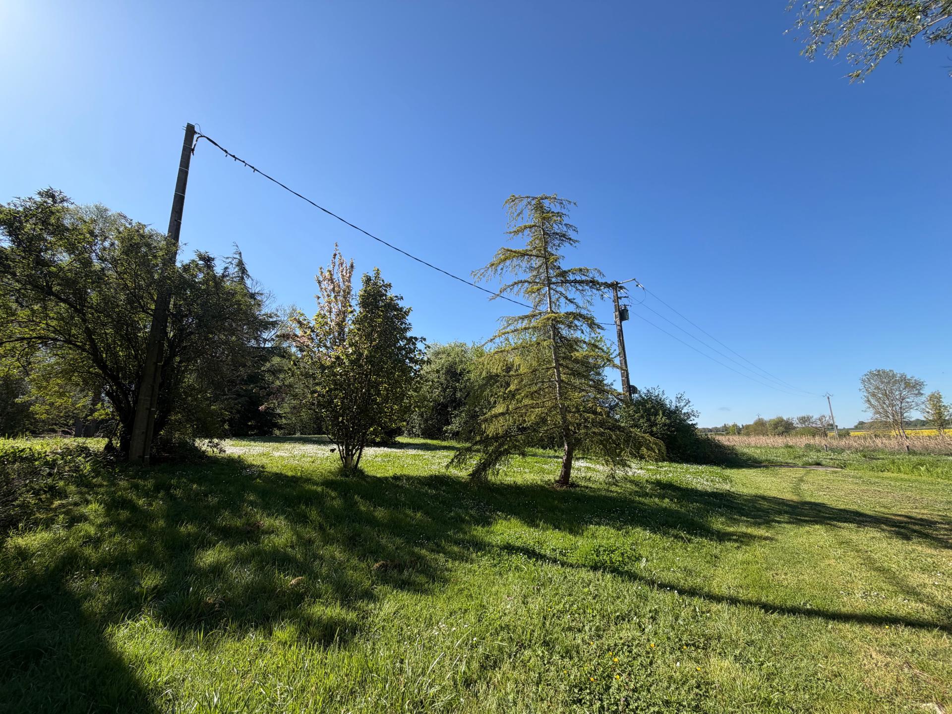 Photo 9 de l'annonce.