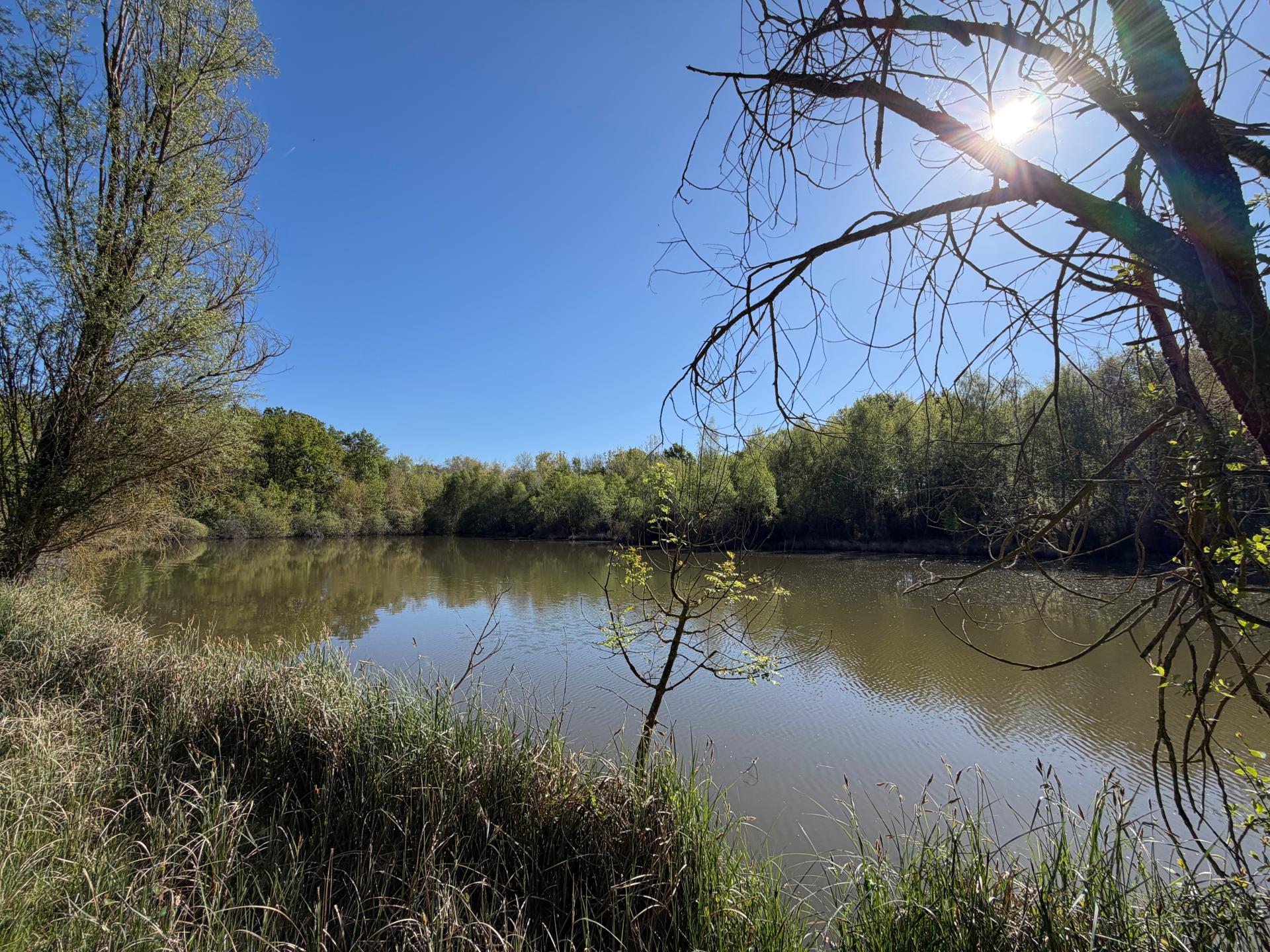 Photo 17 de l'annonce.