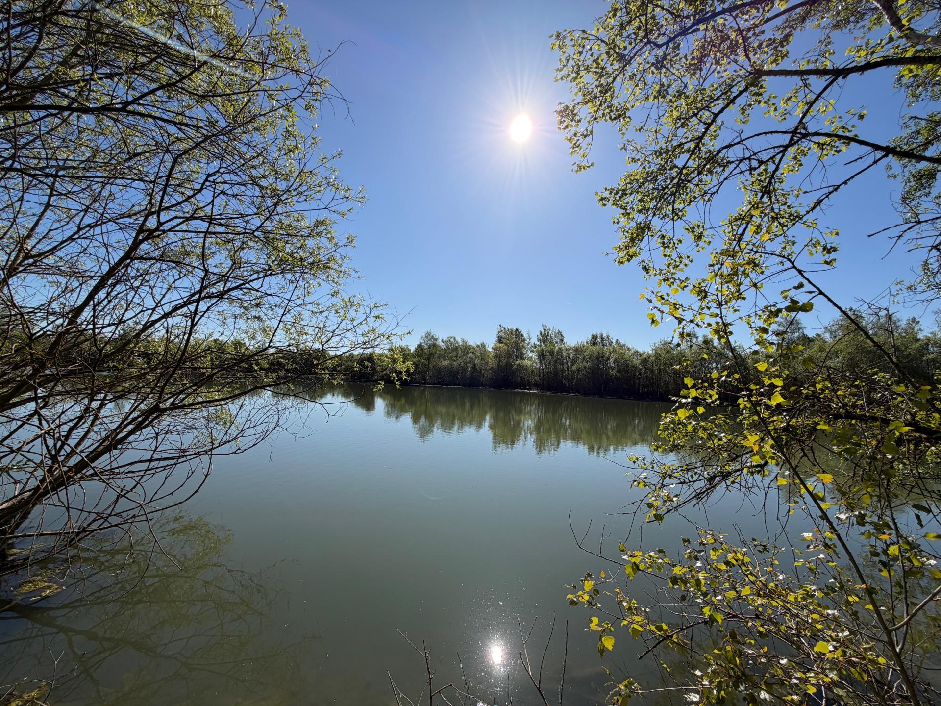 Photo 16 de l'annonce.