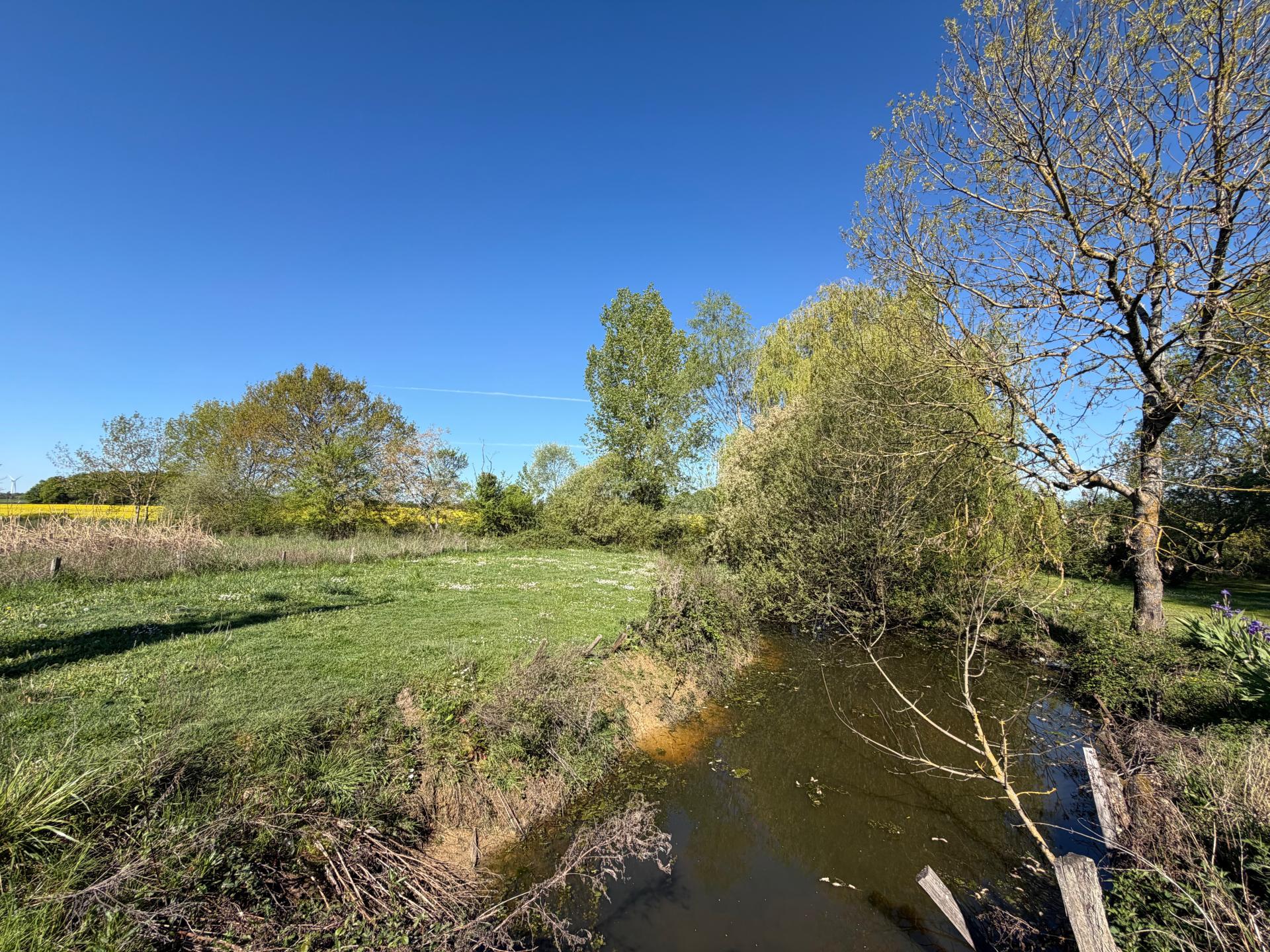 Photo 11 de l'annonce.