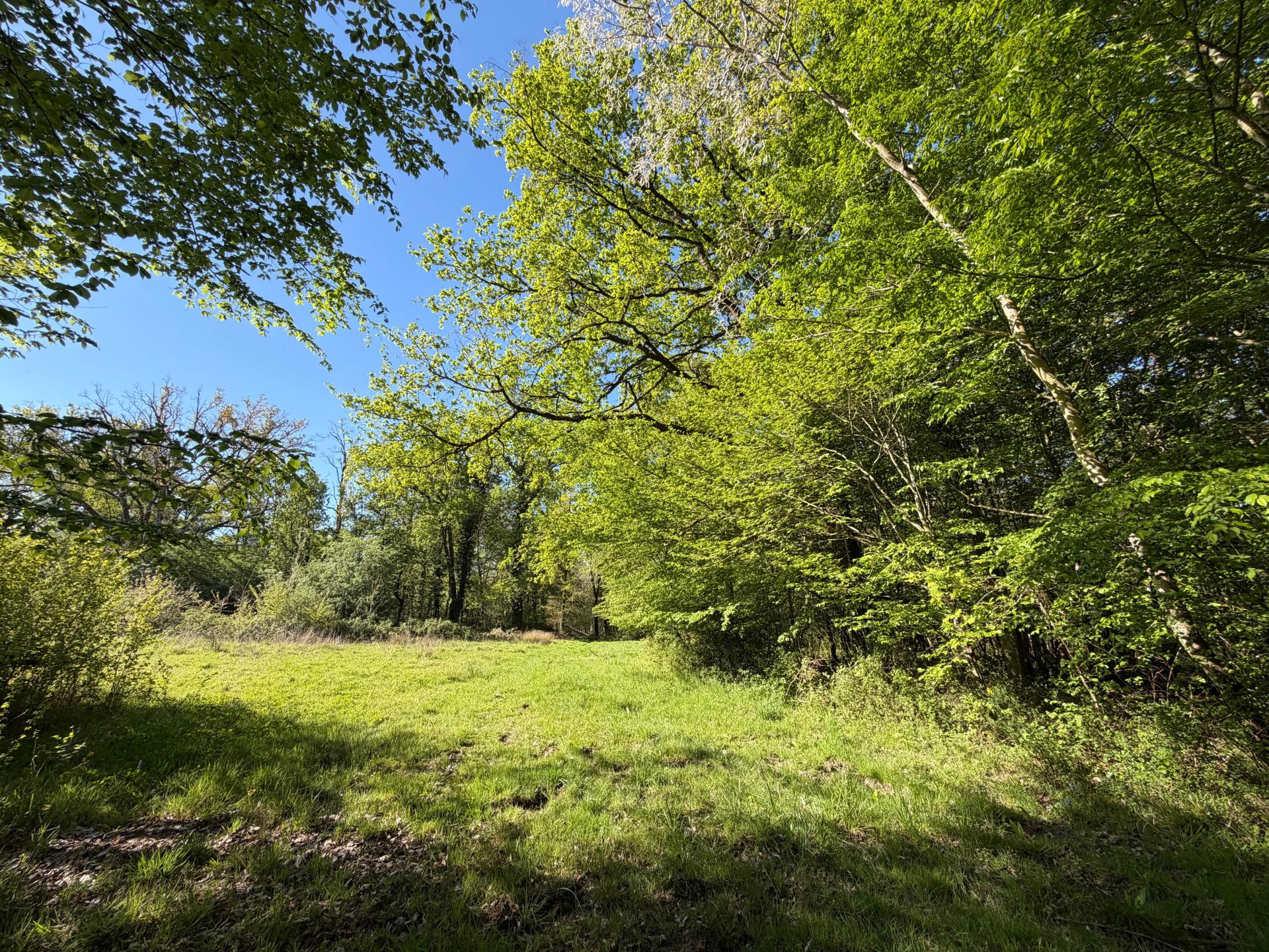 Photo 20 de l'annonce.