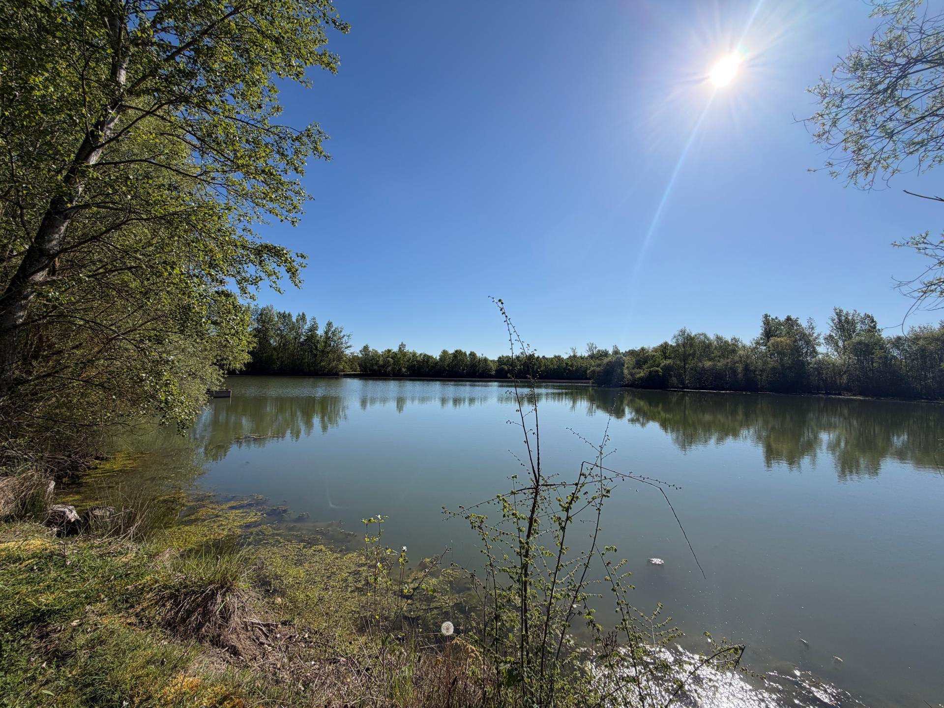 Photo 15 de l'annonce.