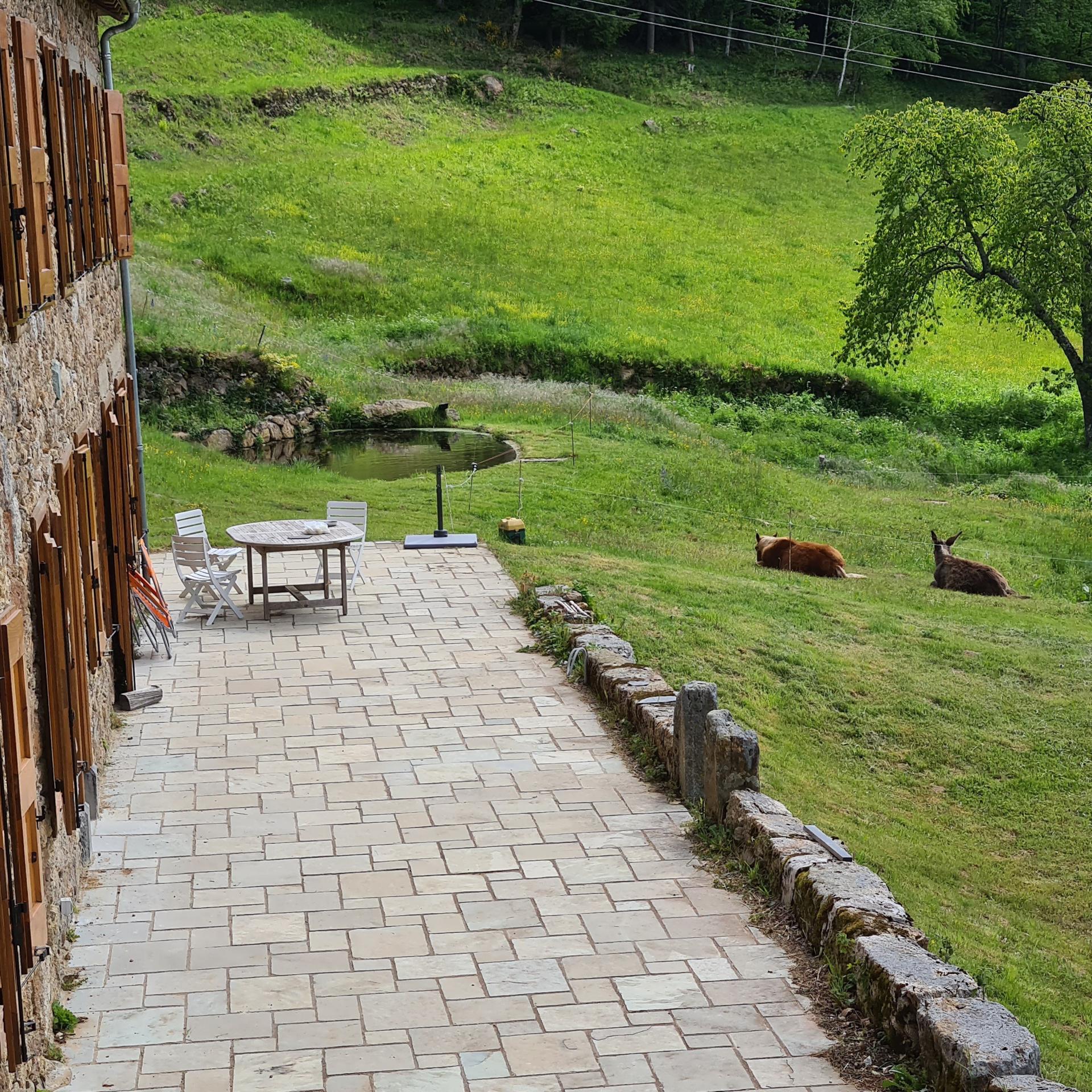 Photo 11 de l'annonce.