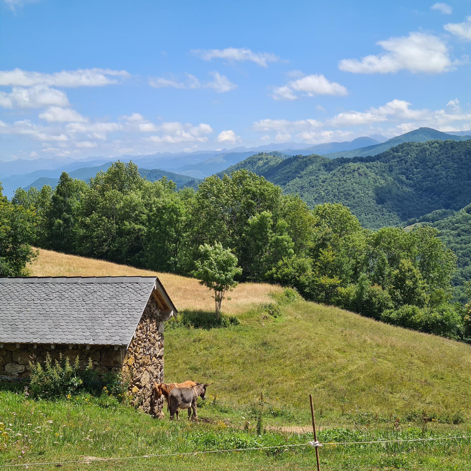 Photo 3 de l'annonce.