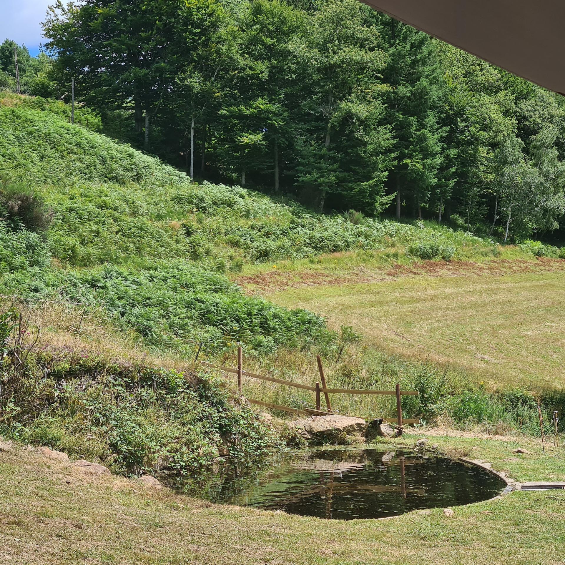 Photo 10 de l'annonce.