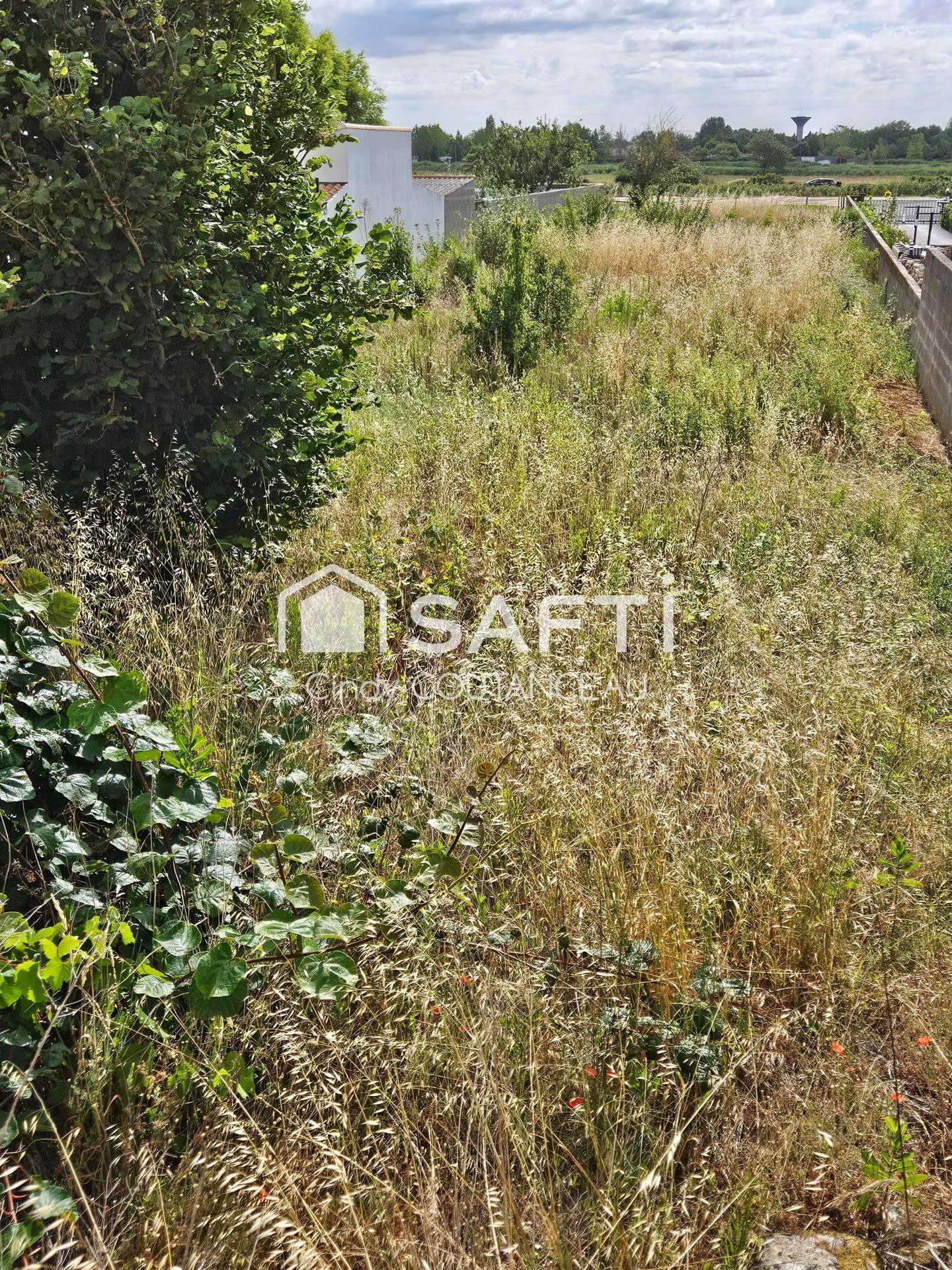 Photo-terrain