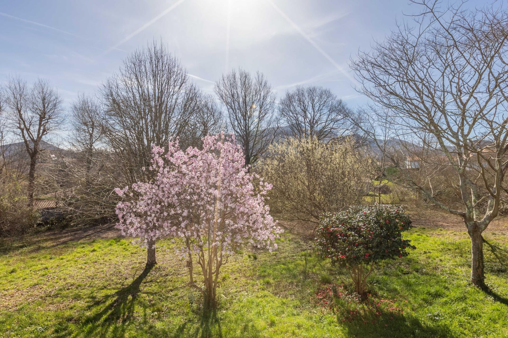 Photo 4 de l'annonce.